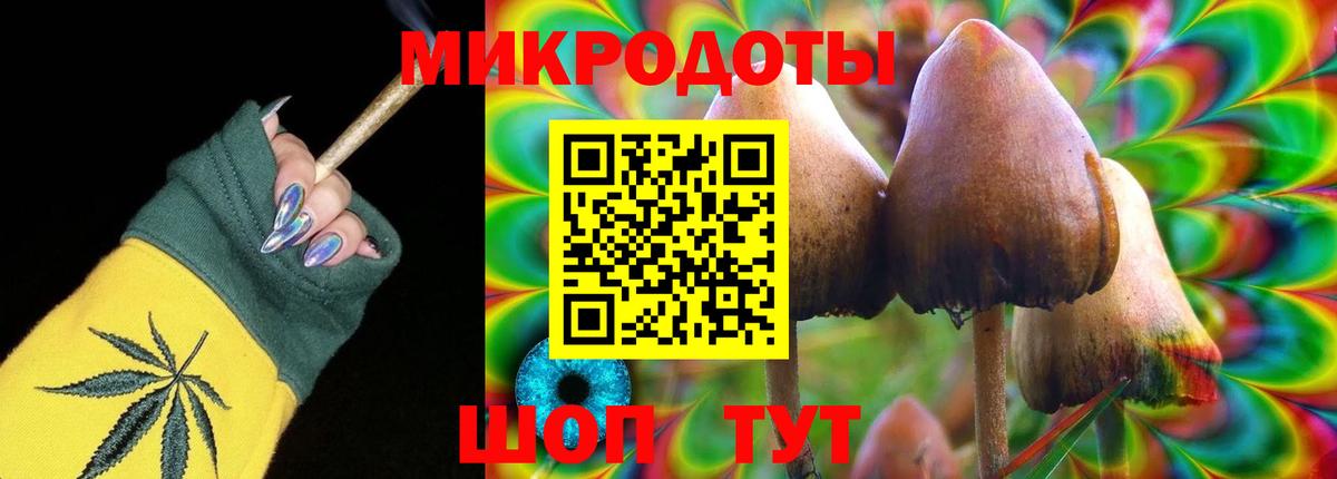 Галлюциногенные грибы Cubensis  Галлюциногенные грибы GOLDEN TEACHER  Вход с VPN  Гусь-Хрустальный 